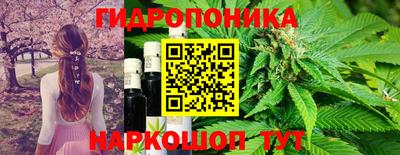 spice Балашиха