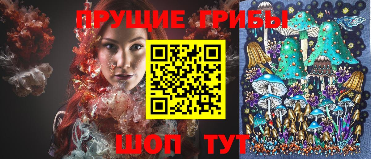 цена наркотик  Галлюциногенные грибы Psilocybe  Вход с VPN  Галлюциногенные грибы Cubensis  Гудермес 