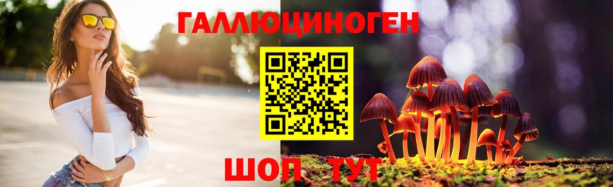 Псилоцибиновые грибы прущие грибы Гудермес