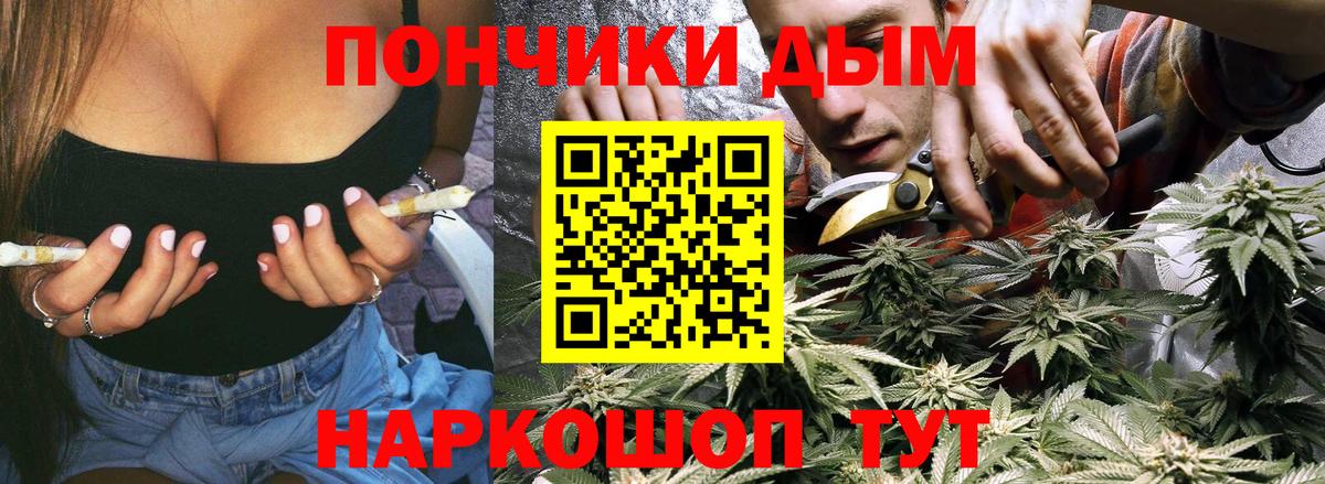 Бошки марихуана планчик Гудермес